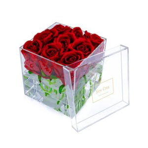 Acrylic Boxes
