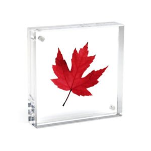 Photo Frames & Blocks