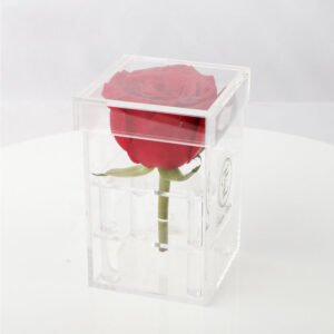 acrylic rose box in event display