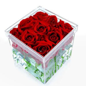 Clear Acrylic Flower Box – 9 Holes Top View