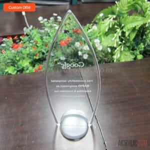 Custom acrylic award shown from a straight-on angle, highlighting the symmetrical curved loop silhouette