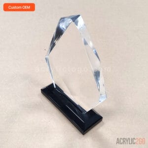 Custom angular geometric acrylic award shown from a front-facing angle, highlighting the irregular polygon silhouette